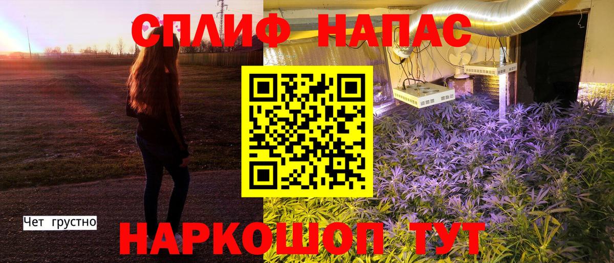 Канабис планчик Россия